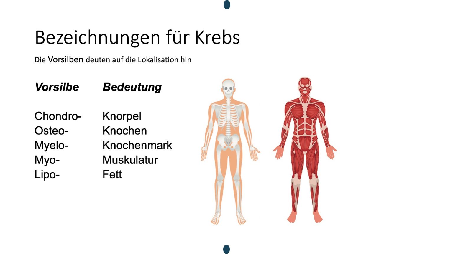 Welche Krebsarten gibt es?